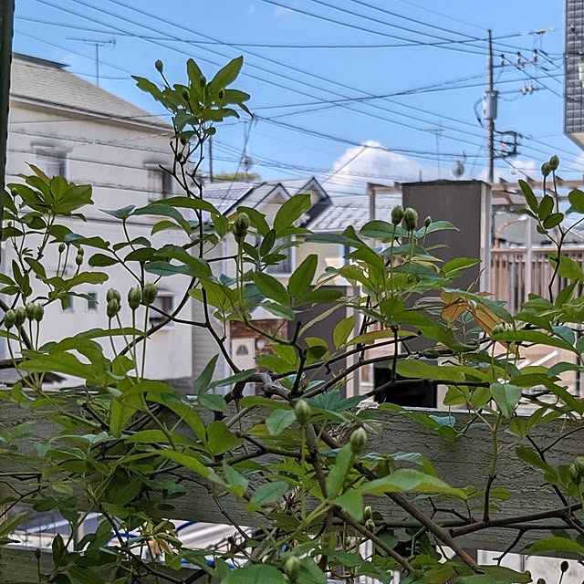 kazuさんの部屋