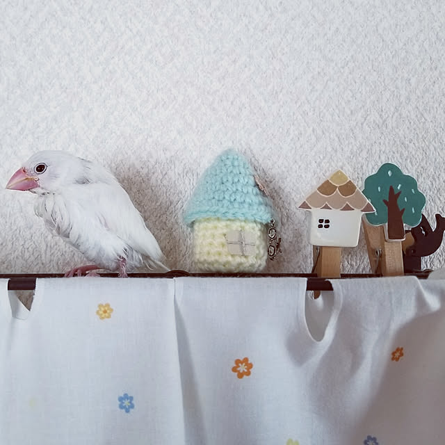 miiさんの実例写真