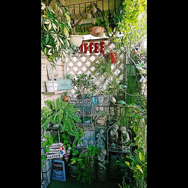 dreanさんの実例写真