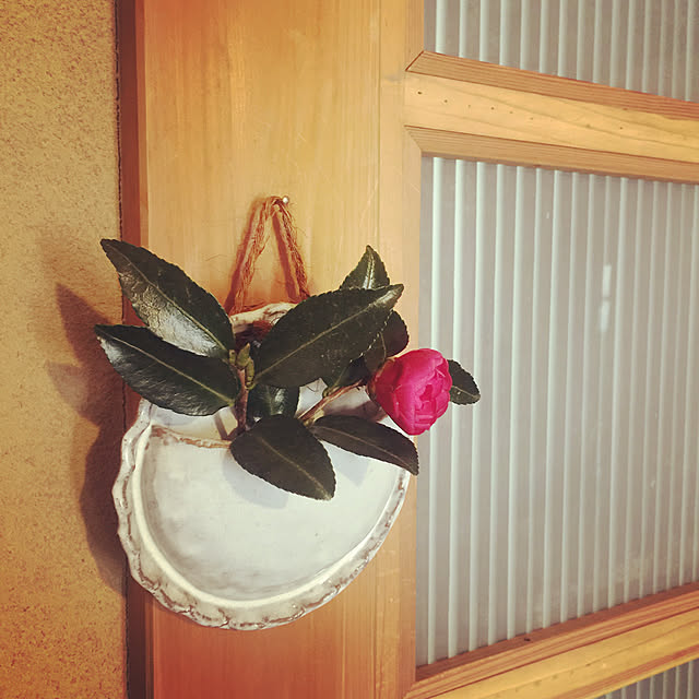 PEさんの実例写真