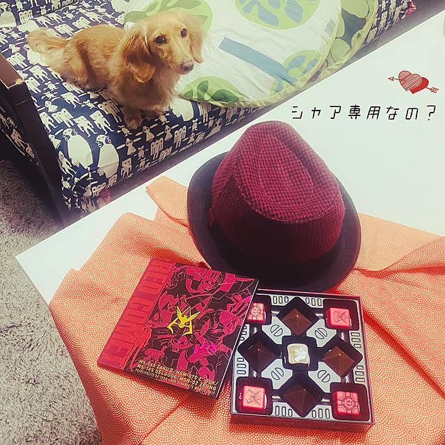 ikeさんの実例写真