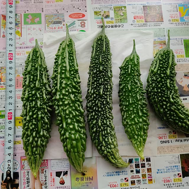 misakiさんの実例写真