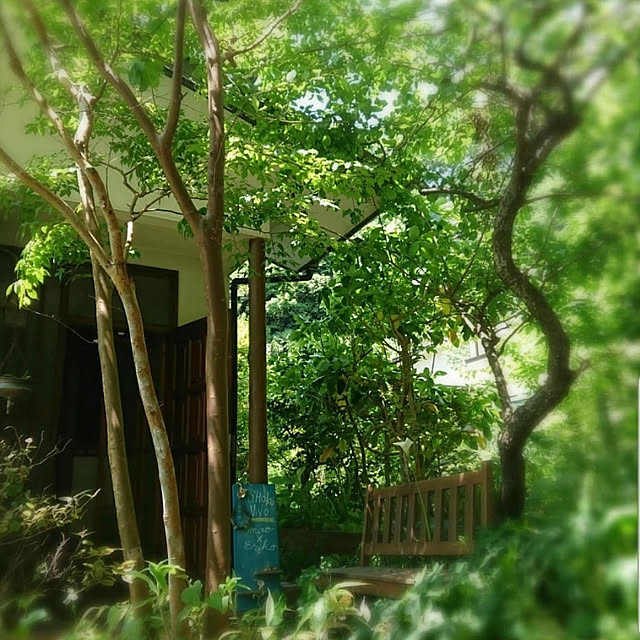 maosa1019さんの実例写真