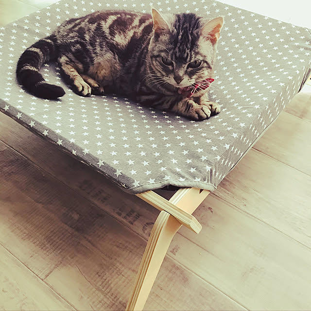 jukai8153さんの実例写真