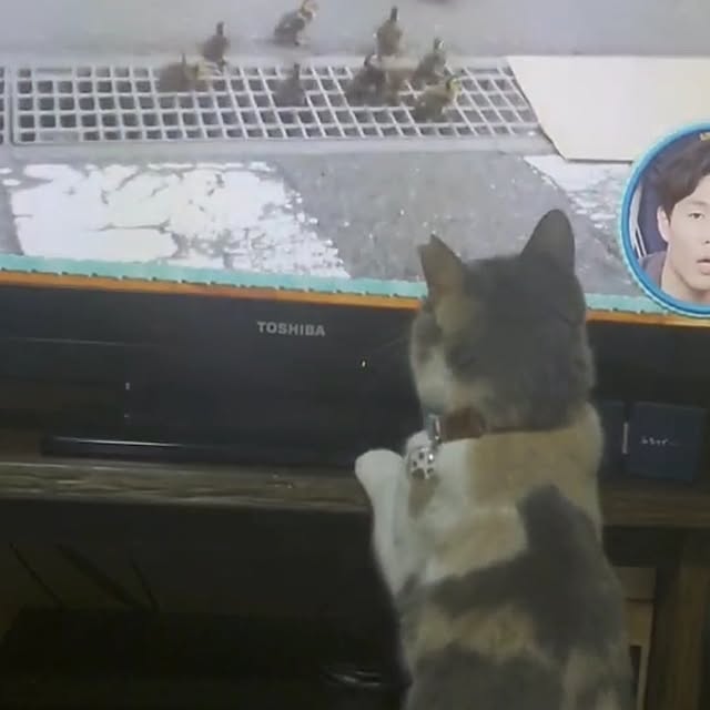 fukuさんの部屋