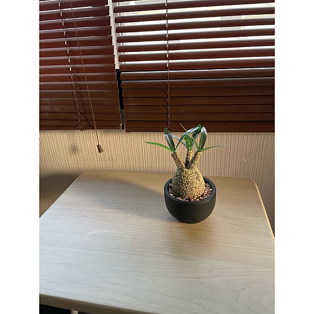 momocchiさんの実例写真