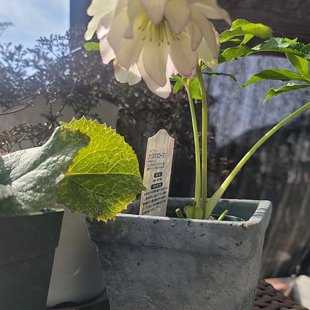 VIORAさんの実例写真