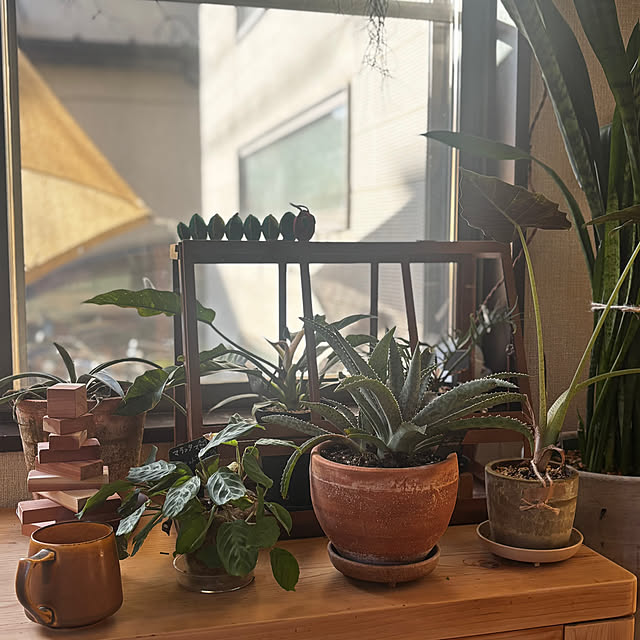 greycatsさんの実例写真