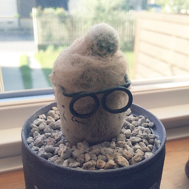 cocoさんの実例写真