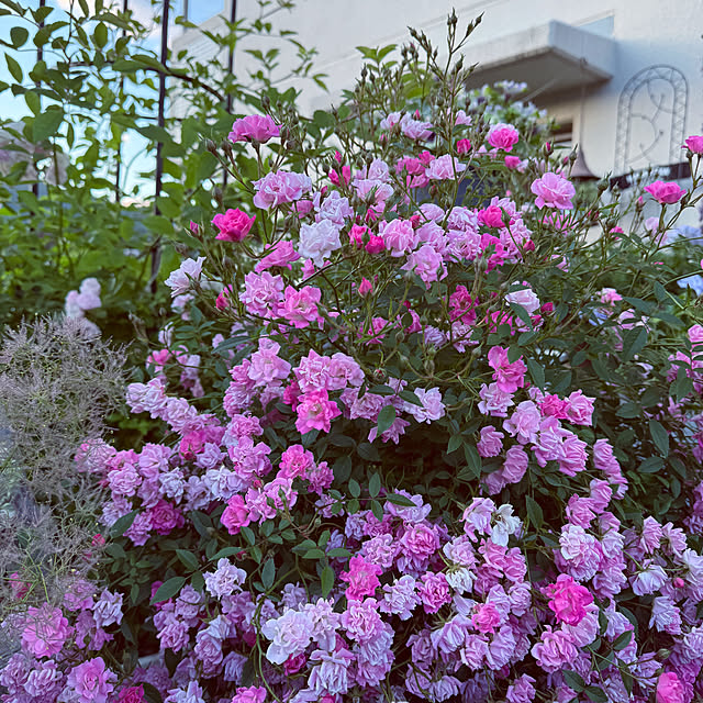 Tenさんの部屋