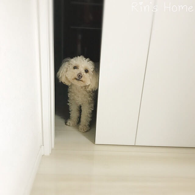 Rinさんの実例写真