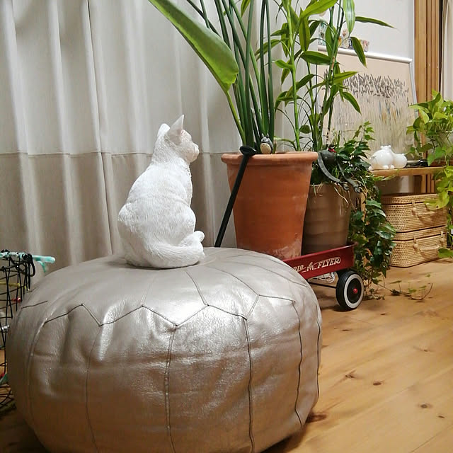 naive.coccoさんの実例写真
