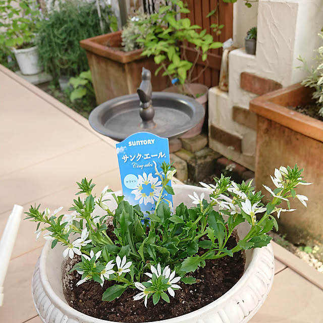 Bienvenueさんの実例写真