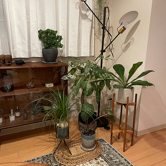 グリーンのある暮らし/観葉植物/IKEA/雑貨/ガーデニング...などのインテリア実例 - 2022-02-12 23:38:27