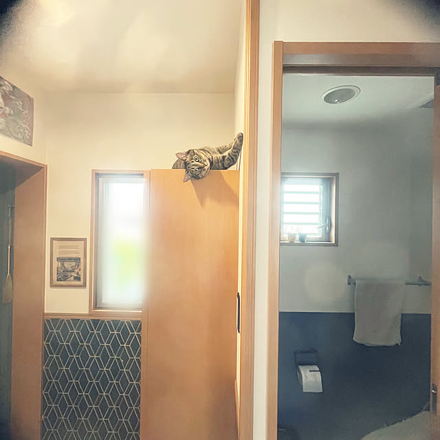 Mさんの実例写真