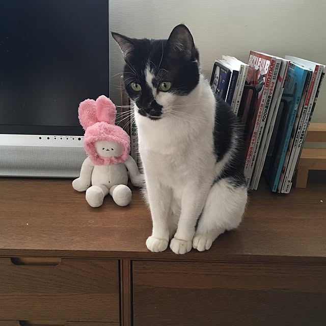 mikomaruさんの実例写真