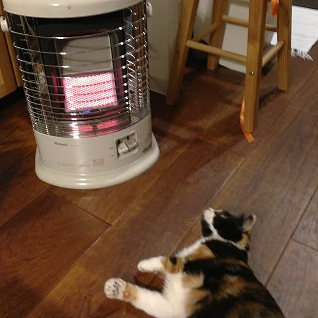 Rieさんの実例写真