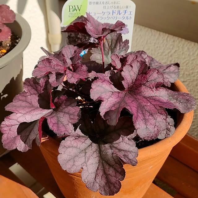 VERANDARJUNさんの実例写真