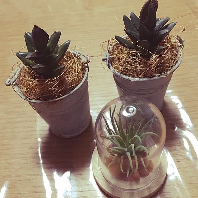 sachieさんの実例写真