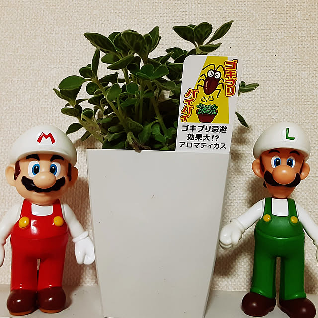 katさんの実例写真
