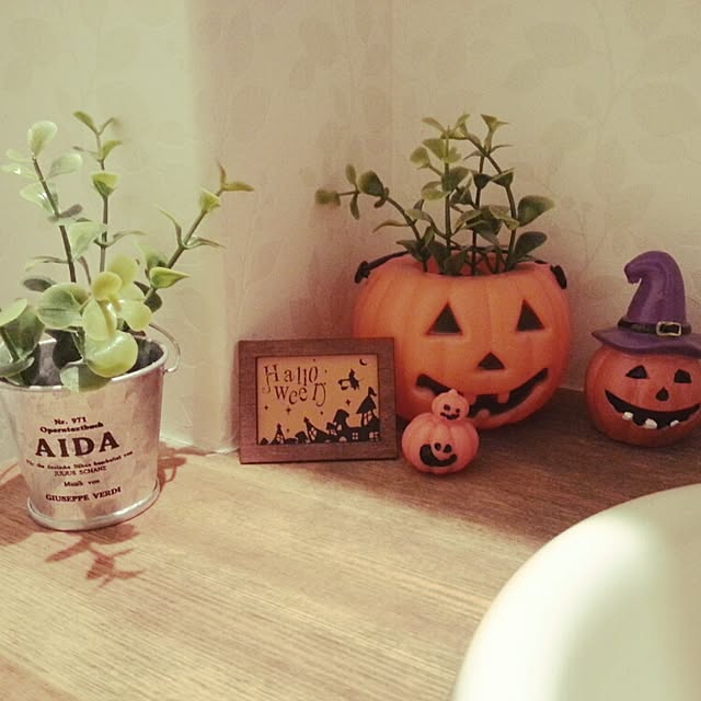 nozohito3さんの実例写真