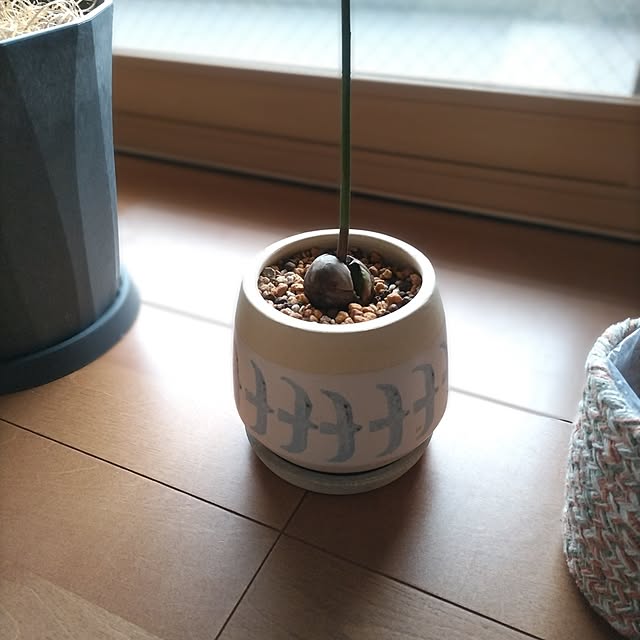sakiさんの部屋