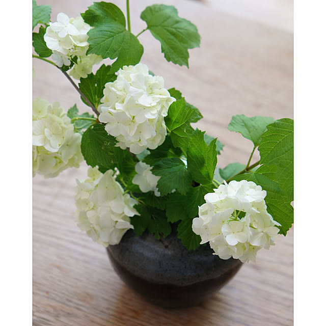 noriflowerさんの部屋