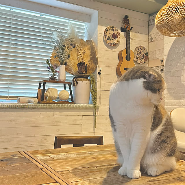 runtenさんの実例写真