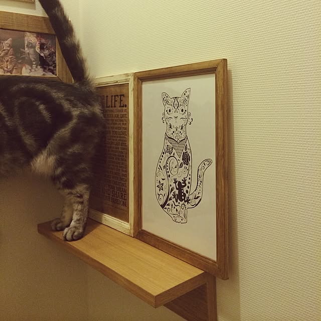 mikomaruさんの実例写真