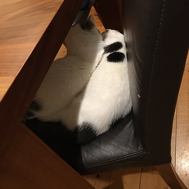 rms_familyさんの実例写真