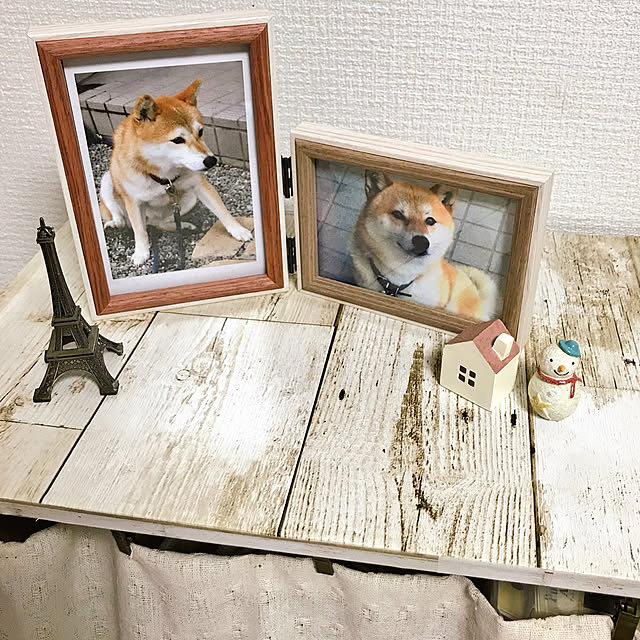 harukaさんの実例写真