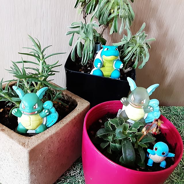 katさんの部屋