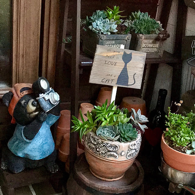 butachanさんの実例写真