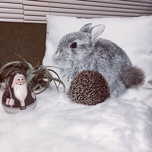 saokoさんの実例写真