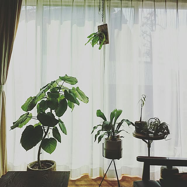 bibi.karuさんの実例写真