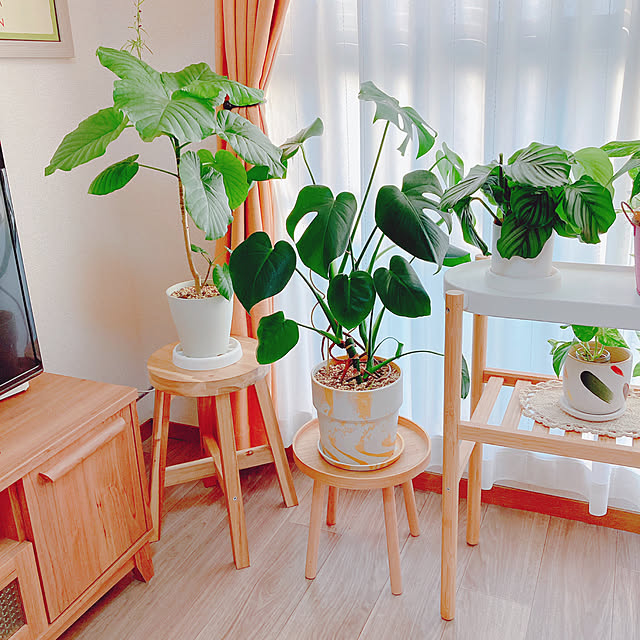 yuyuさんの部屋