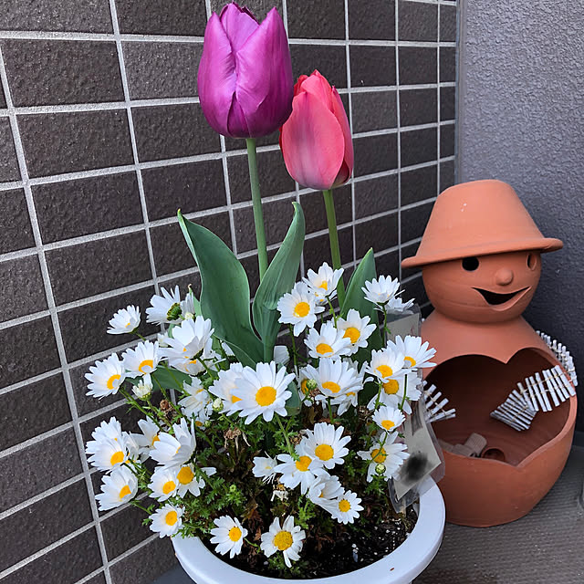 miyunon1027さんの実例写真