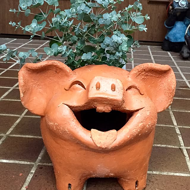 butachanさんの実例写真