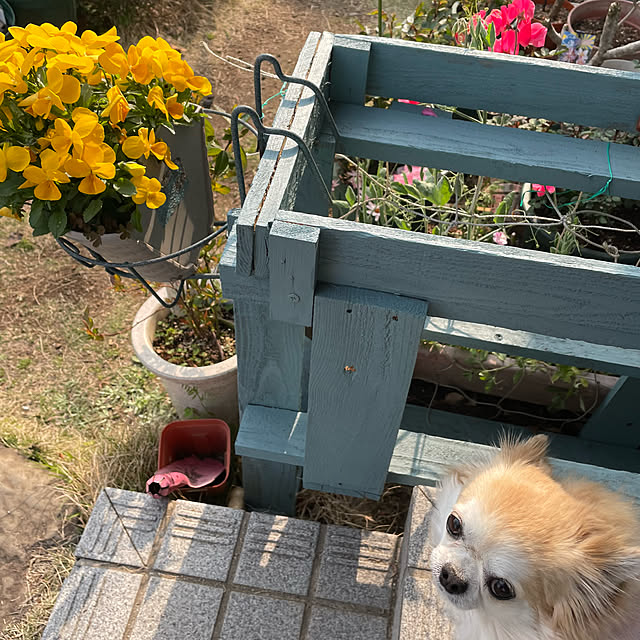 natsumiさんの部屋