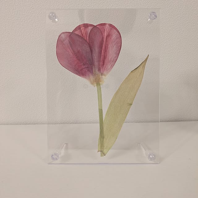 necoさんの実例写真