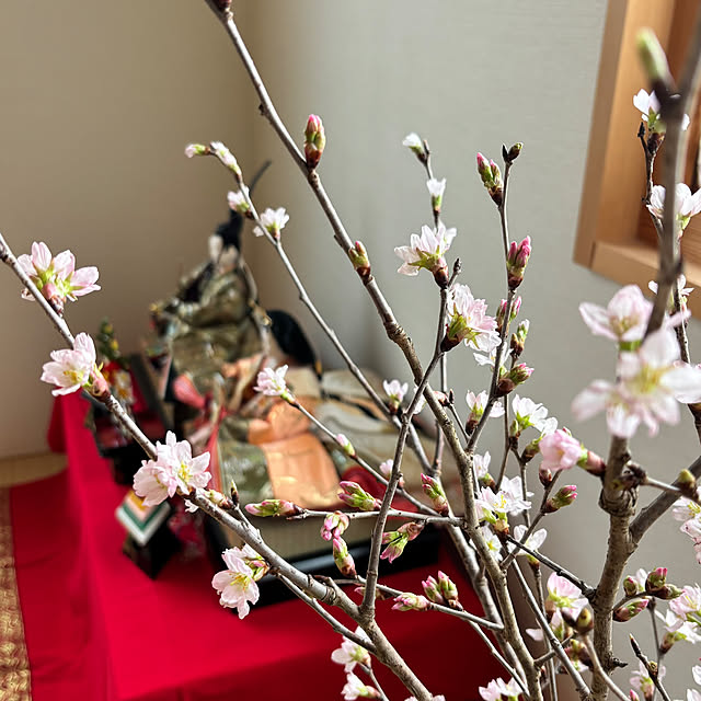 lalalaさんの部屋