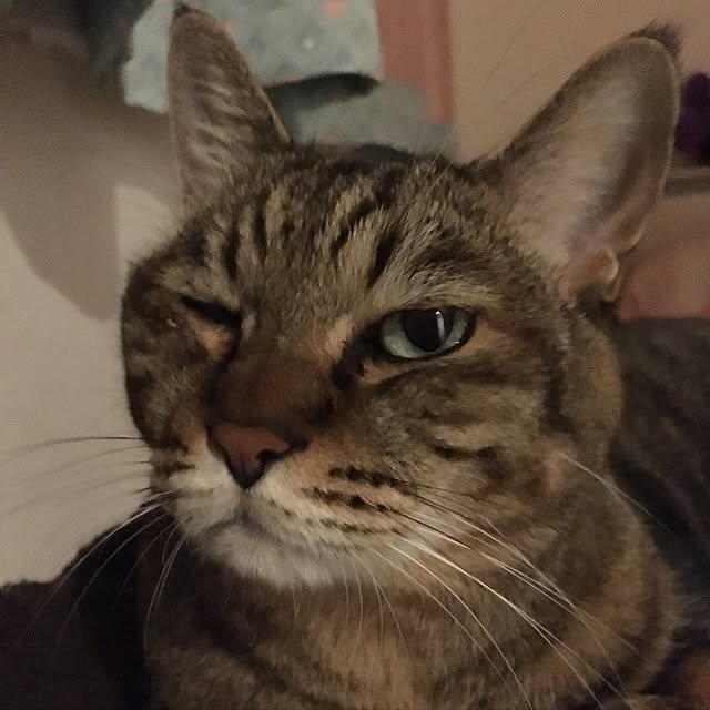 himeさんの実例写真