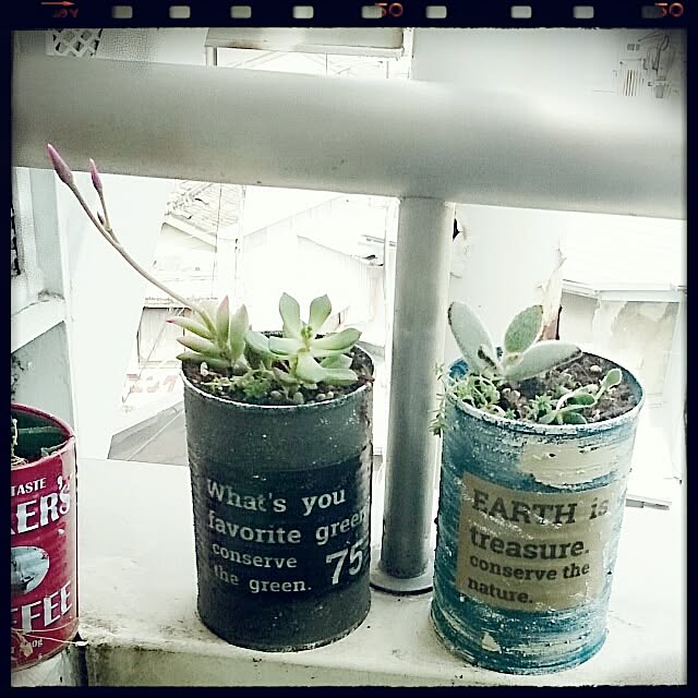 OBTERNIR88filerさんの実例写真