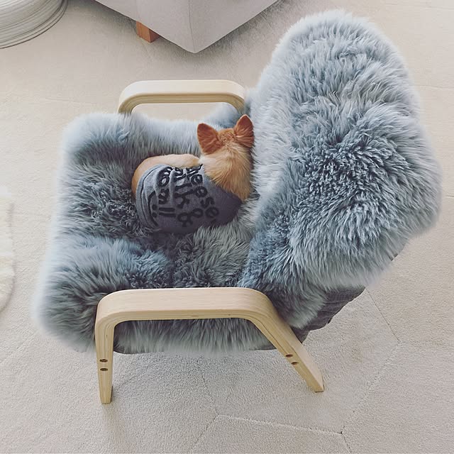 haruhinaさんの実例写真
