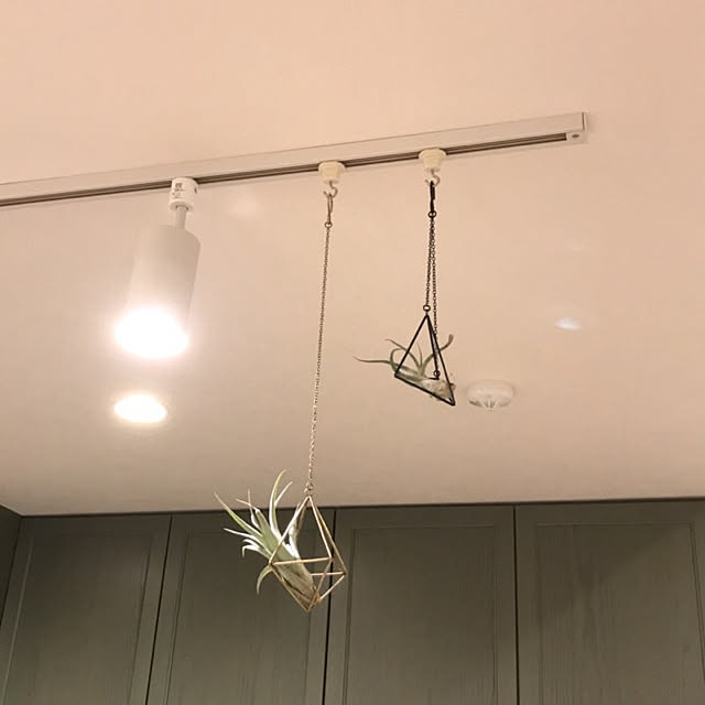fukoさんの実例写真