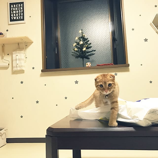 yさんの実例写真