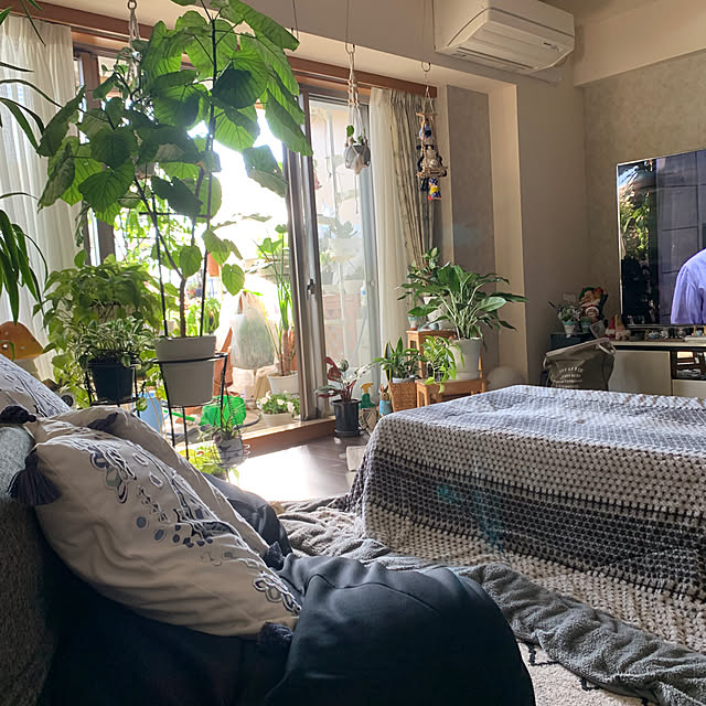 Aqettyさんの部屋