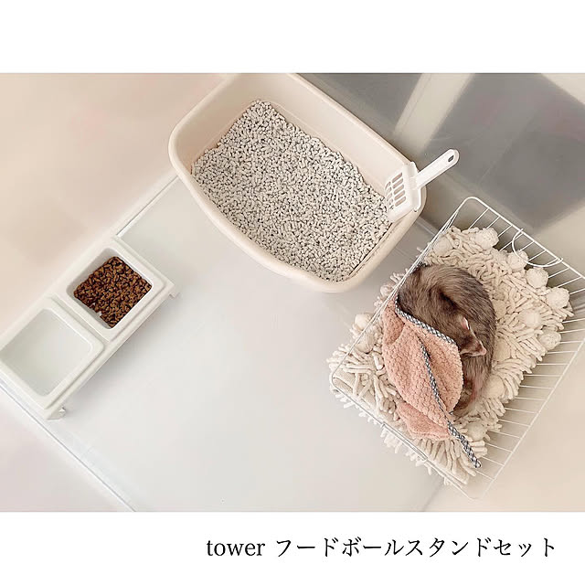 chaluさんの実例写真