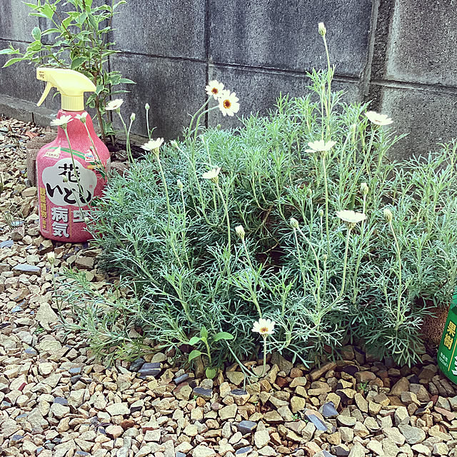 richanさんの部屋
