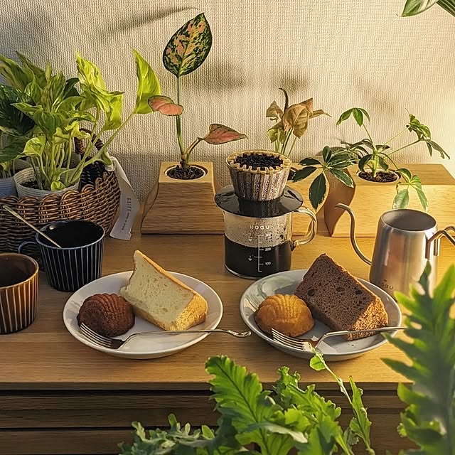 ayamameさんの部屋